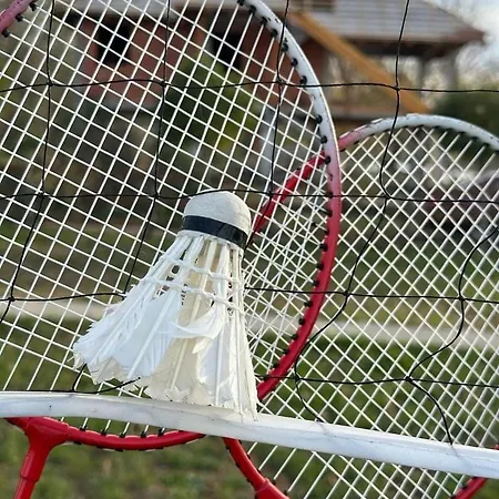 Brvnara Bata - Vikendica Na Drini Lipnicki Sor